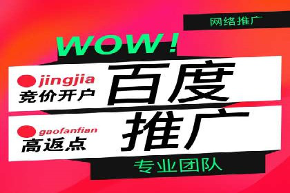 百度推广公司案例研究：打造差异化竞争优势，脱颖而出